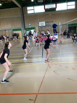 03018fc7-ce84-46fa-842a-4a9e06d419ae_original